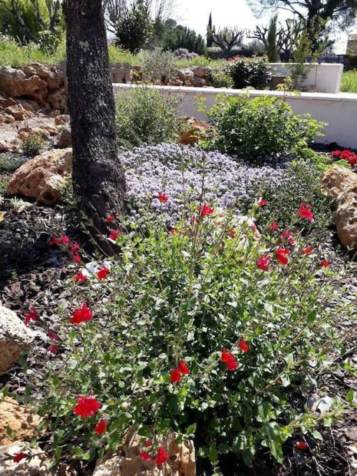 Maison 2 Ou 4 Personnes Jardin Parking Les Amandiers Лорг Экстерьер фото